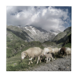 Pyrenäenlandschaft Fliese