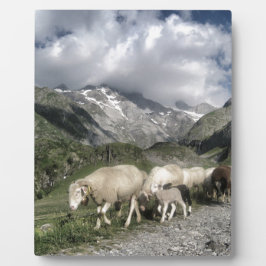 Pyrenäenlandschaft Fotoplatte