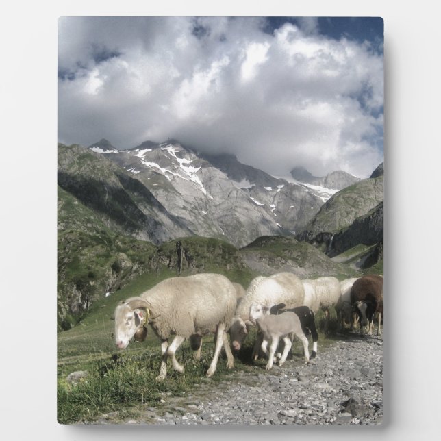 Pyrenäenlandschaft Fotoplatte (Vorderseite)