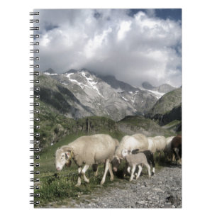 Pyrenäenlandschaft Notizblock