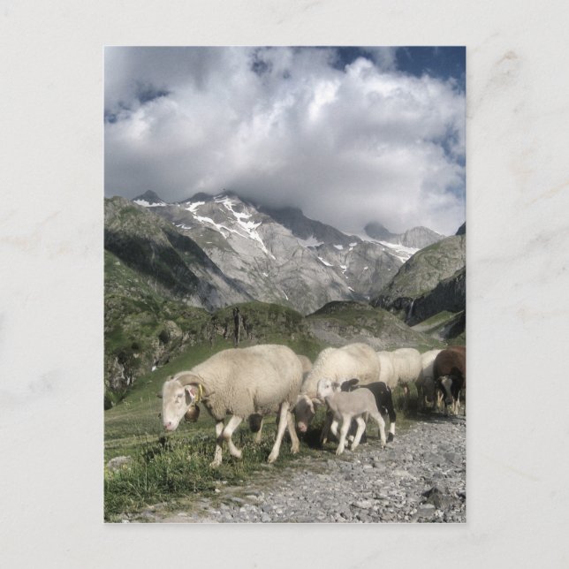 Pyrenäenlandschaft Postkarte (Vorderseite)