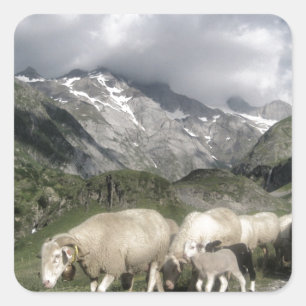 Pyrenäenlandschaft Quadratischer Aufkleber