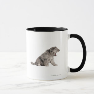 Pyrenean Gähnen des Schäferwelpen (4 Wochen) Tasse