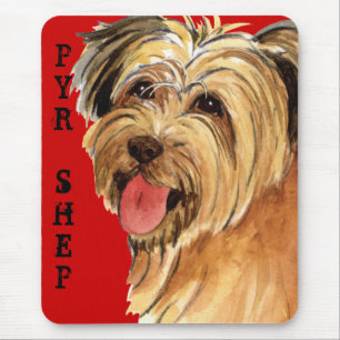 Pyrenean Shepherd Color Block Mousepad
