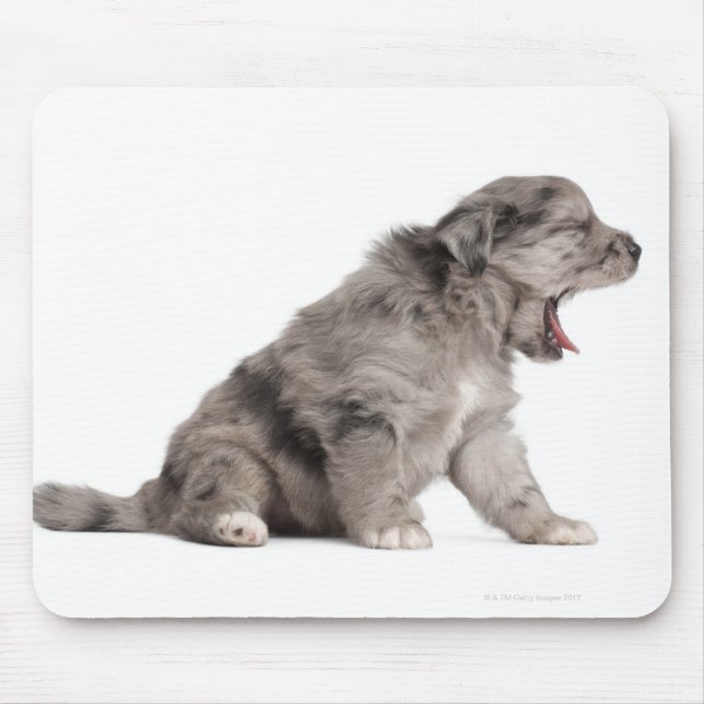Pyrenean Shepherd Welpe (4 Wochen) gähnend Mousepad (Vorne)