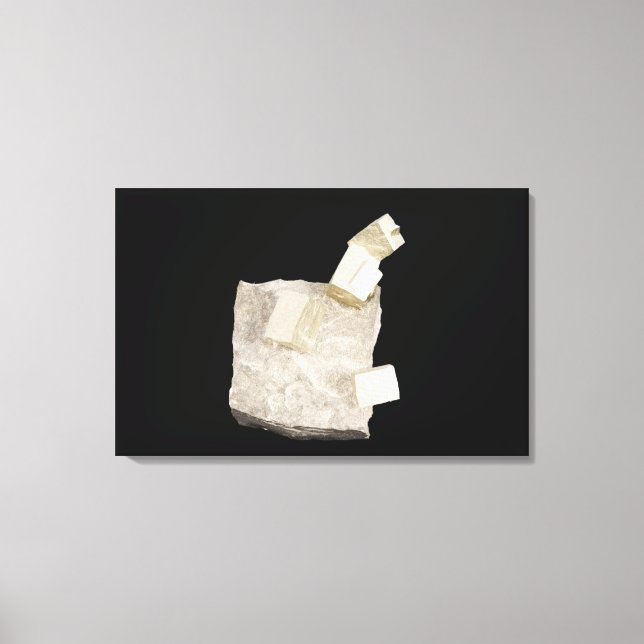 Pyrite Kristalle in Shale Leinwanddruck (Vorderseite)