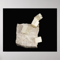 Pyrite Kristalle in Shale