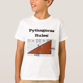 PYTHAGORAS REGELN! T-Shirt