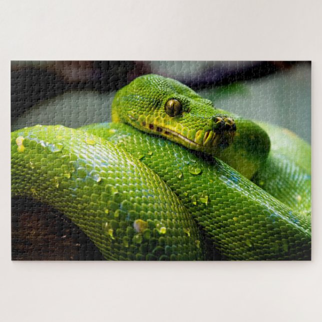 Python Arbre Vert, Puzzle (Horizontal)