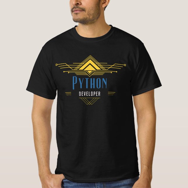 Python Developer Code Artisan T-Shirt (Vorderseite)