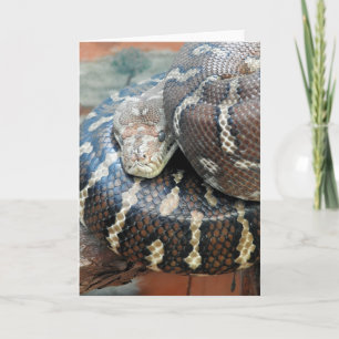 Python Karte