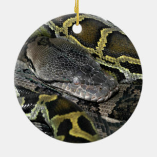 Python molurus bivittatus keramik ornament