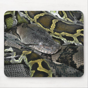 Python molurus bivittatus mousepad