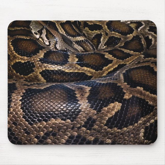 Python Mousepad (Vorne)