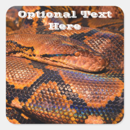 Python Snake Quadratischer Aufkleber