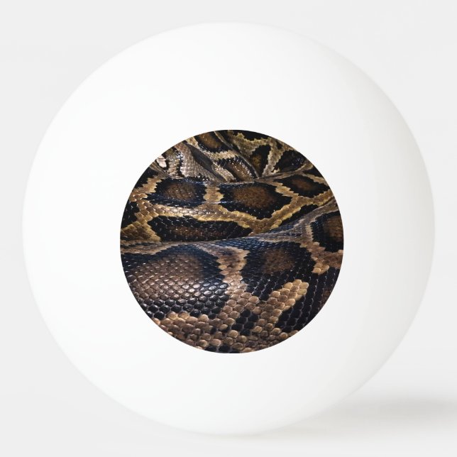 Python Tischtennisball (Vorderseite)
