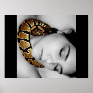 Python's Lullaby Poster
