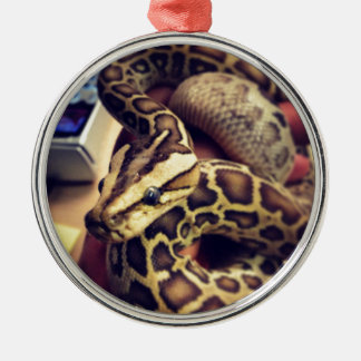 Pythonschlange-Fotoentwurf des Hypobabys Ornament Aus Metall