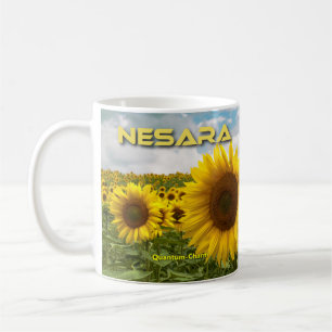 QC NESARA/GESARA TASSE H