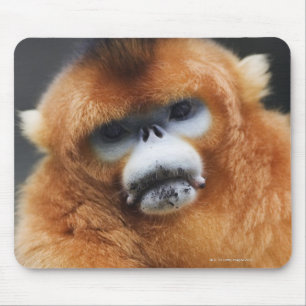 Qinling Berge Mousepad