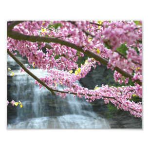 -qua-GA cascade 10"" copie de la photo x8
