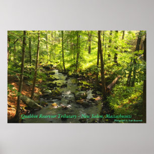 Quabbin Reservoir-Steuerbares Poster