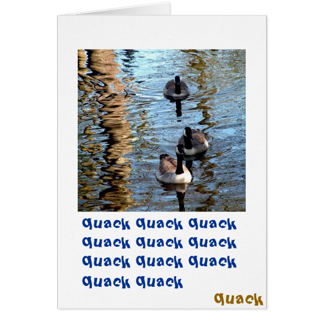 Quack Quack Quack (Vorne)