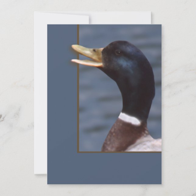 Quackup (Vorderseite)