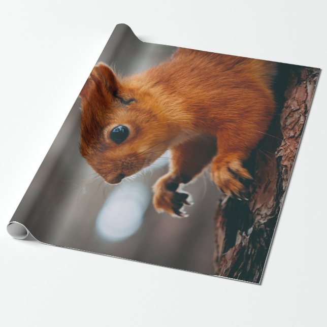 QUADRAL AUF BÄUME GESCHENKPAPIER (Ungerollt)