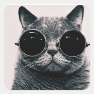 Quadrater Klebstoff - Katze der Brille Quadratischer Aufkleber