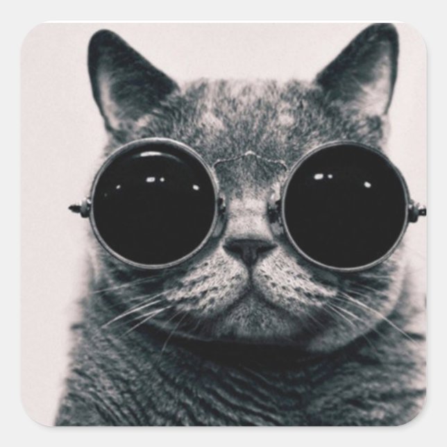 Quadrater Klebstoff - Katze der Brille Quadratischer Aufkleber (Vorderseite)