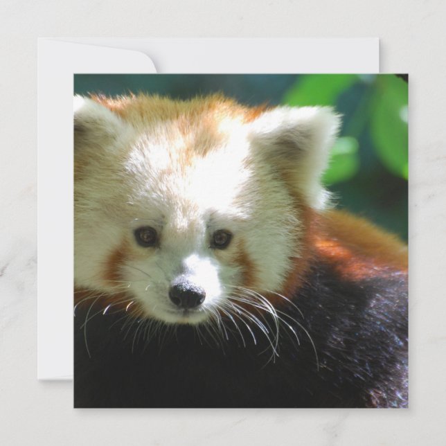 Quadratische Einladung - besonders angefertigt (Vorderseite)