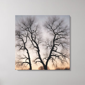 Quadro Árvore seca no deserto Leinwanddruck