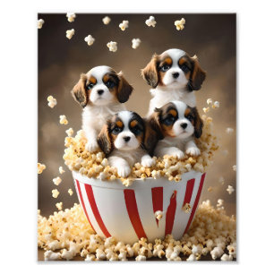 Quads Cavalier Spaniel Welpen im Popcorn, Fotodruck