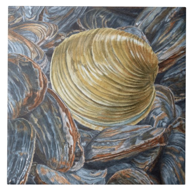 Quahog und Clams-Keramik Fliese (Vorderseite)