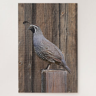 QUAIL AUF BARNWOOD