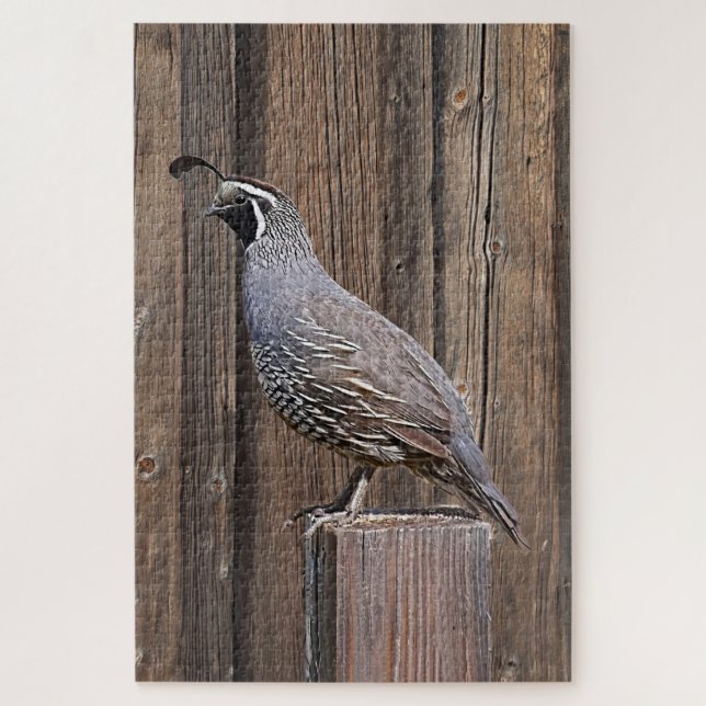 QUAIL AUF BARNWOOD (Vertikal)