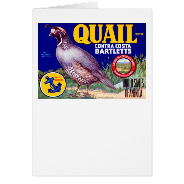 Quail Brand Contra Costa Bartletts (Vorne)