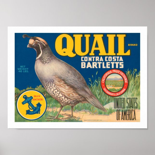 Quail Brand Contra Costa Bartletts Poster (Vorne)