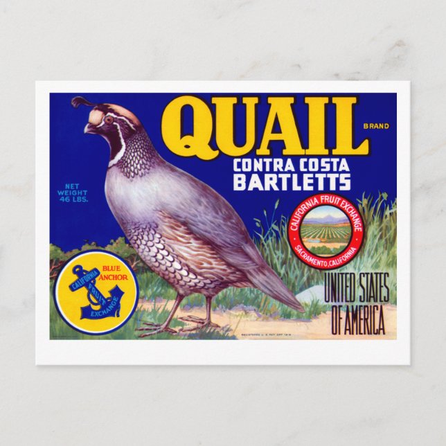 Quail Brand Contra Costa Bartletts Postkarte (Vorderseite)