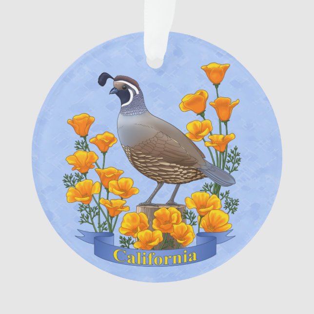 Quail d'oiseaux de l'État de Californie et coqueli (devant)