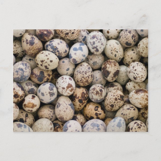 Quail Eggs, Huaraz, Cordillera Blanca, Ancash Postkarte (Vorderseite)