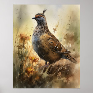 Quail Farm Animal Art Imprimer Poster