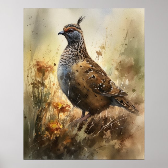 Quail Farm Animal Art Print Poster (Vorne)