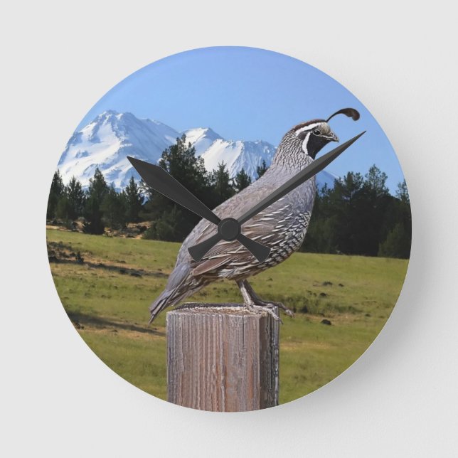 QUAIL ON DREAM POINT RUNDE WANDUHR (Vorderseite)