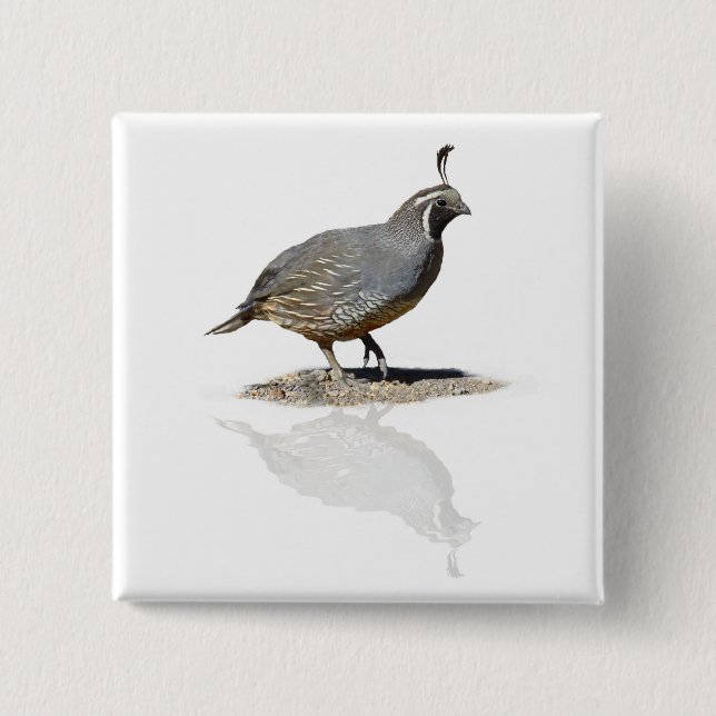 QUAIL REFLEKTIERT BUTTON (Vorderseite)