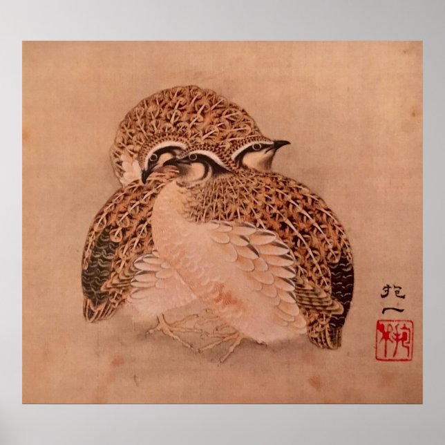 Quail Trio Poster (Vorne)