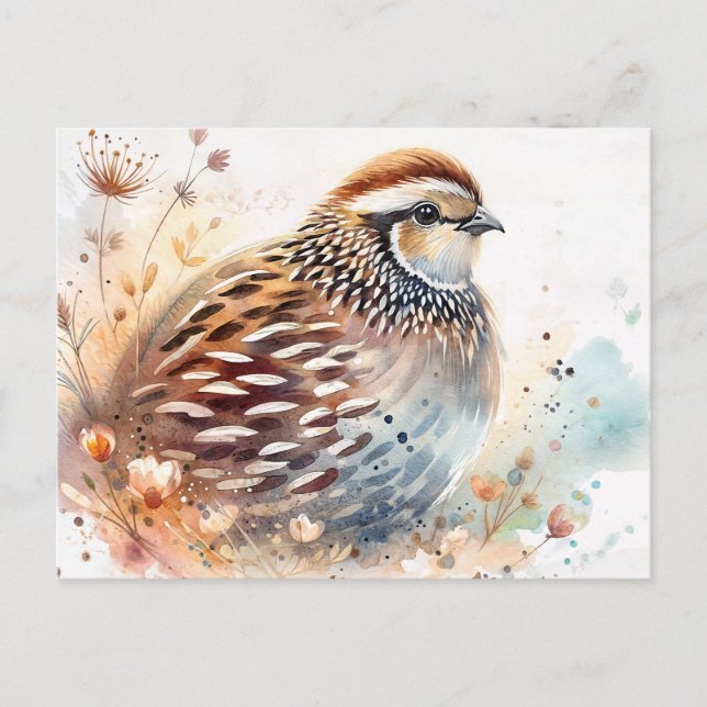 Quail Watercolor Botanical Postkarte (Vorderseite)