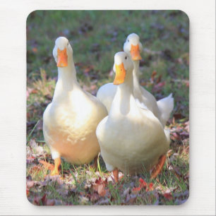 Quakenangriff Mousepad