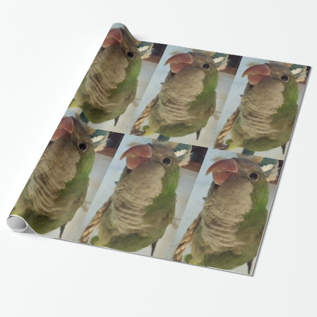 Quaker Parrot Wrapping Paper Geschenkpapier (Ungerollt)